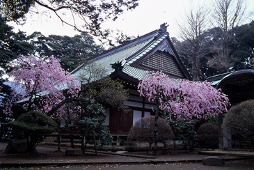 早雲寺